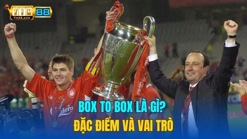 Box To Box Là Gì? Đặc Điểm Và Vai Trò Của Box To Box