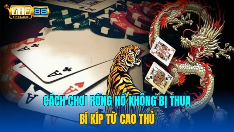 Cách Chơi Rồng Hổ Không Bị Thua - Bí Kíp Từ Cao Thủ