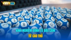 Kinh Nghiệm Đánh Lô Đầu Câm Cực Chuẩn Từ Cao Thủ