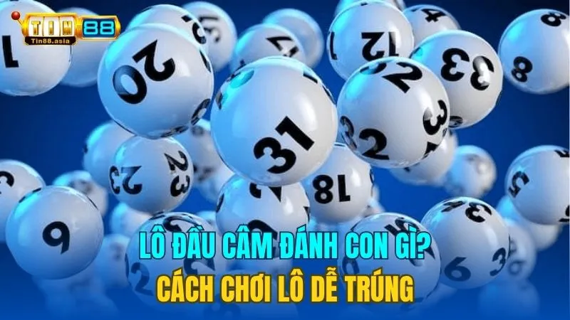 Lô Đầu Câm Đánh Con Gì? Cách Chơi Lô Đầu Câm Dễ Trúng