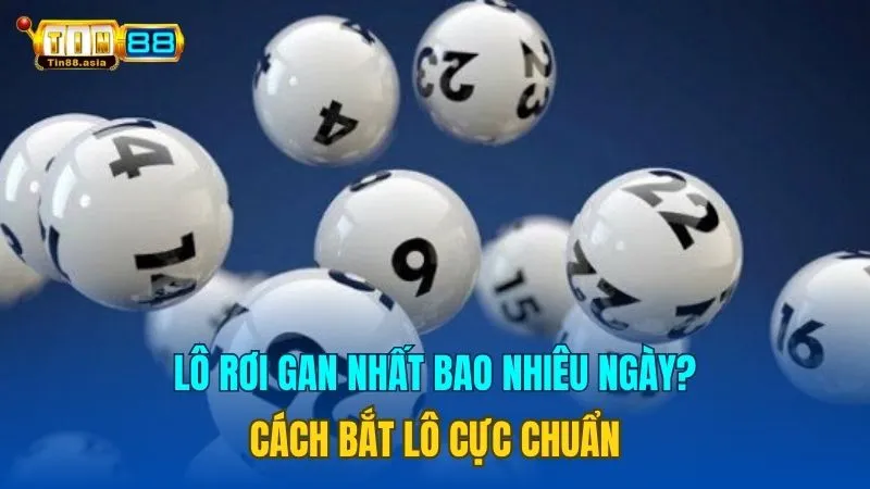 Lô Rơi Gan Nhất Bao Nhiêu Ngày - Cách Bắt Lô Cực Chuẩn