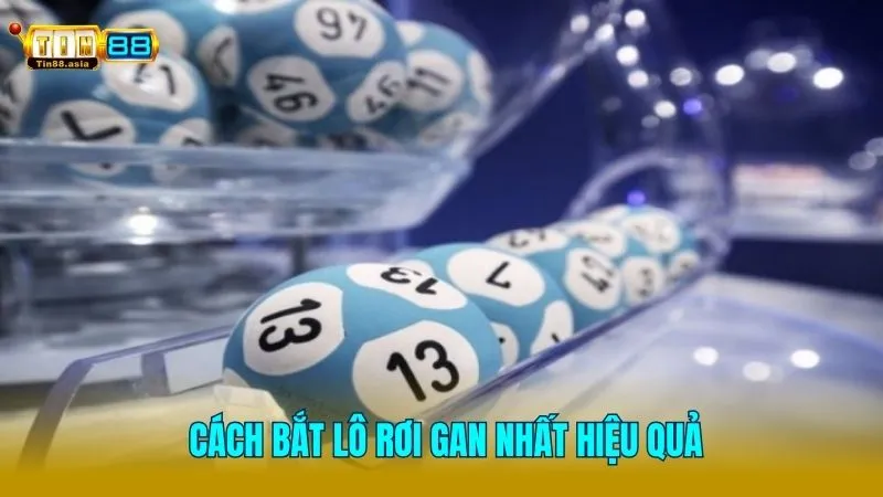 Cách bắt lô rơi gan chuẩn không cần chỉnh