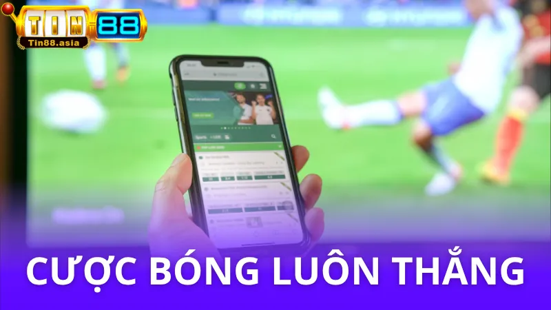 Cách chơi cá độ bóng đá luôn thắng - Đừng bỏ qua!