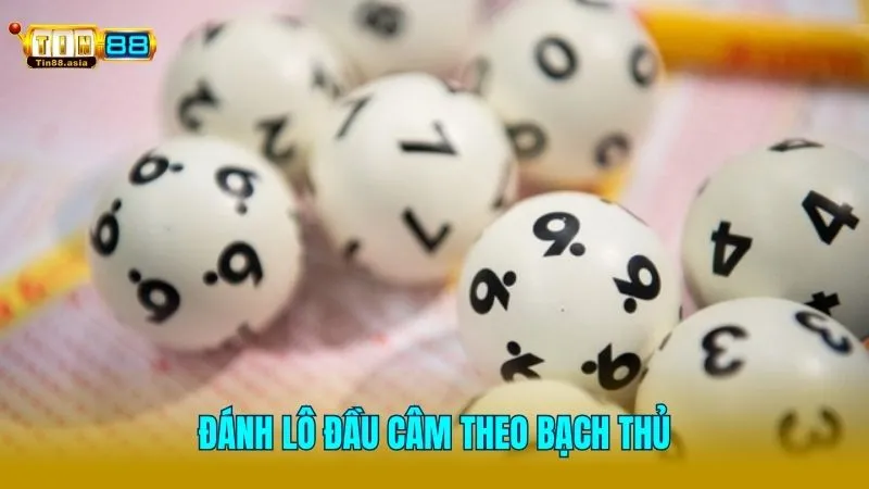 Cách đánh lô đầu câm theo bạch thủ có độ hiệu quả cao