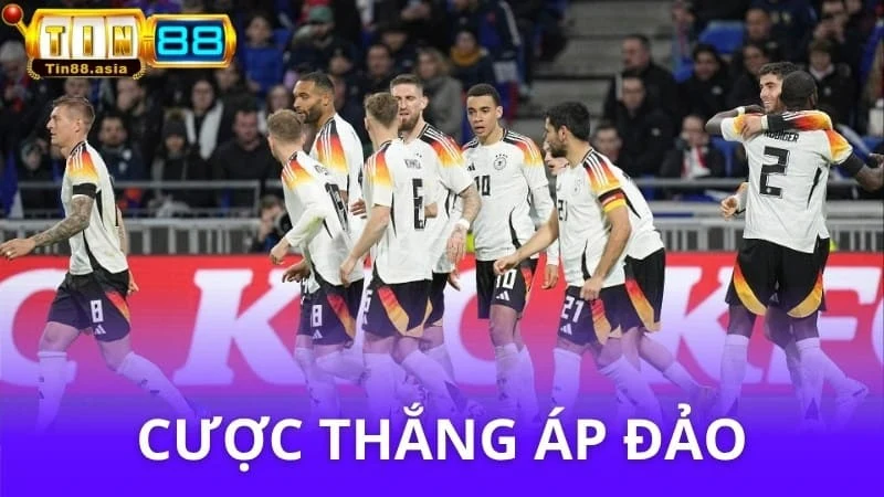 Cược thắng áp đảo là gì? Kiến thức từ A đến Z