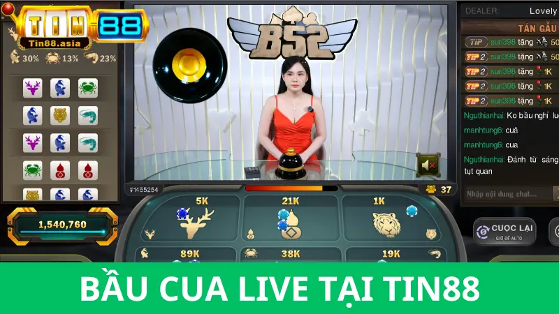 Hướng dẫn cách chơi bầu cua cơ bản với Tin88