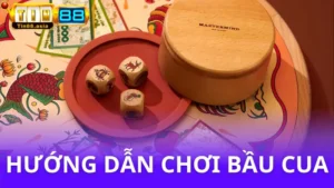 Hướng dẫn cách chơi bầu cua từ A đến Z cùng Tin88