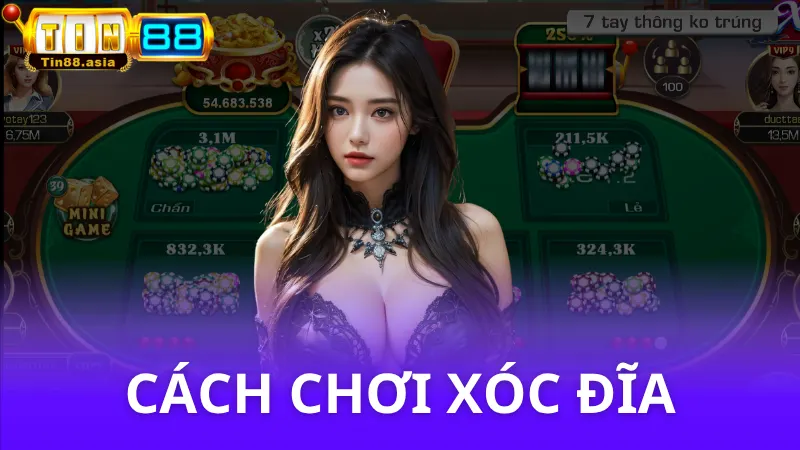 Hướng dẫn cách chơi Xóc Đĩa nhanh - Cược cực đã