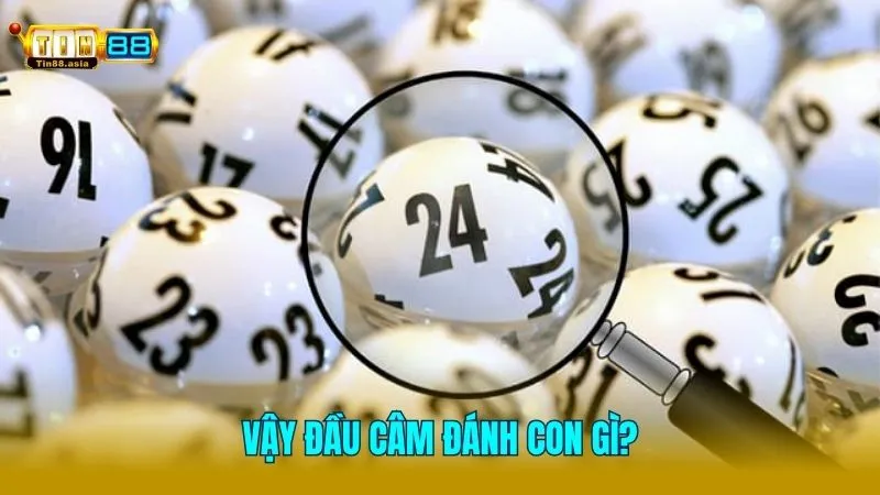 Lô đầu câm đánh con gì? Gợi ý những con số may mắn