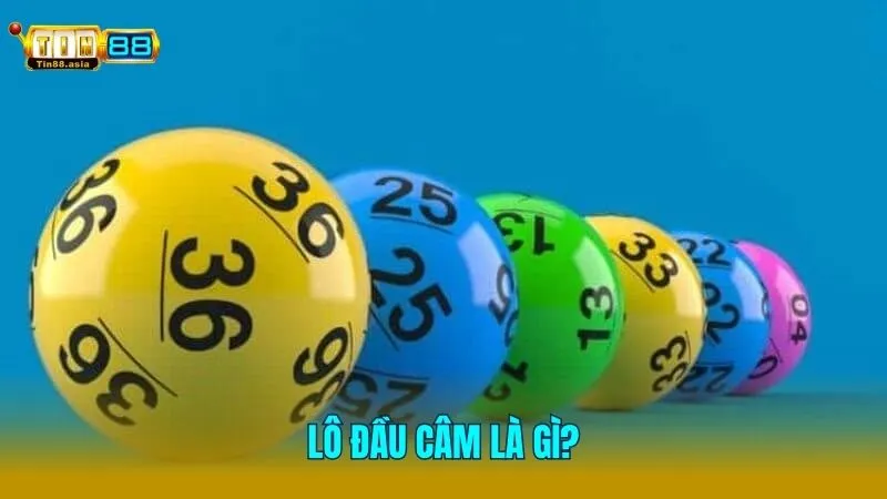 Khái niệm lô câm là gì