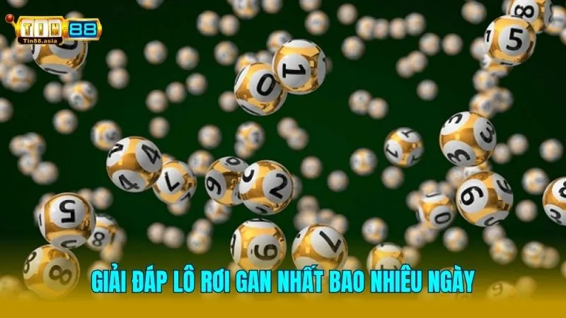Lô rơi gan nhất bao nhiêu ngày