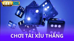 Những cách chơi tài xỉu thắng - Chơi thực chiến