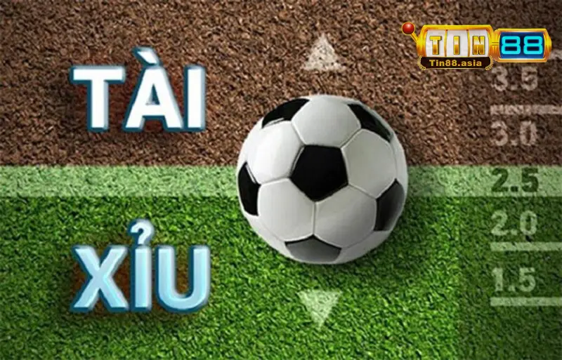 Thuật ngữ quen thuộc nhất trong kèo bóng tài xỉu