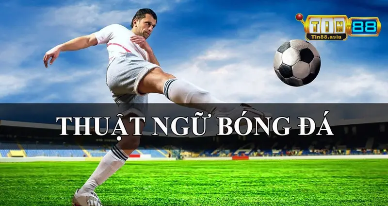 Thuật Ngữ Trong Cá Độ Bóng Đá Hay Gặp Nhất Từ A - Z